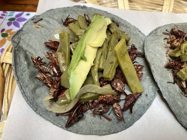 Tacos Chapulin Modré Tortille — Stock fotografie