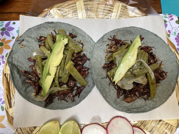 Tacos Chapulin Kék Tortillában — Stock Fotó