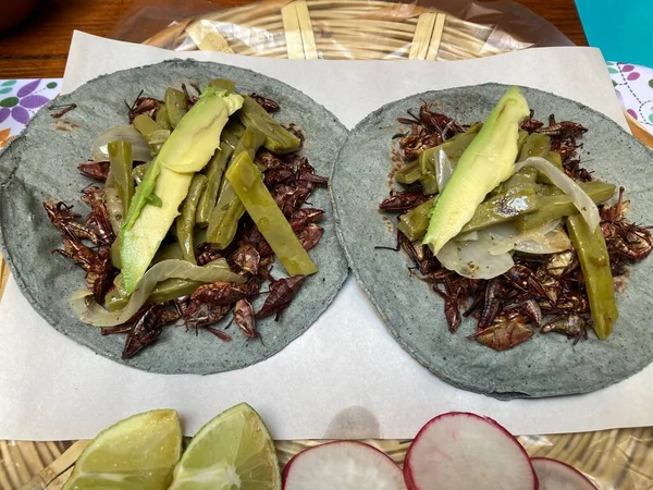 Tacos Chapulin Kék Tortillában — Stock Fotó