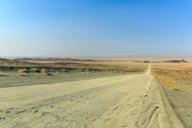 Denizde kum tepeleri olan bir panorama.