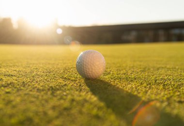 Golf sopası çimlerin üzerinde. Golf turnuvası ya da şampiyonluk geçmişi