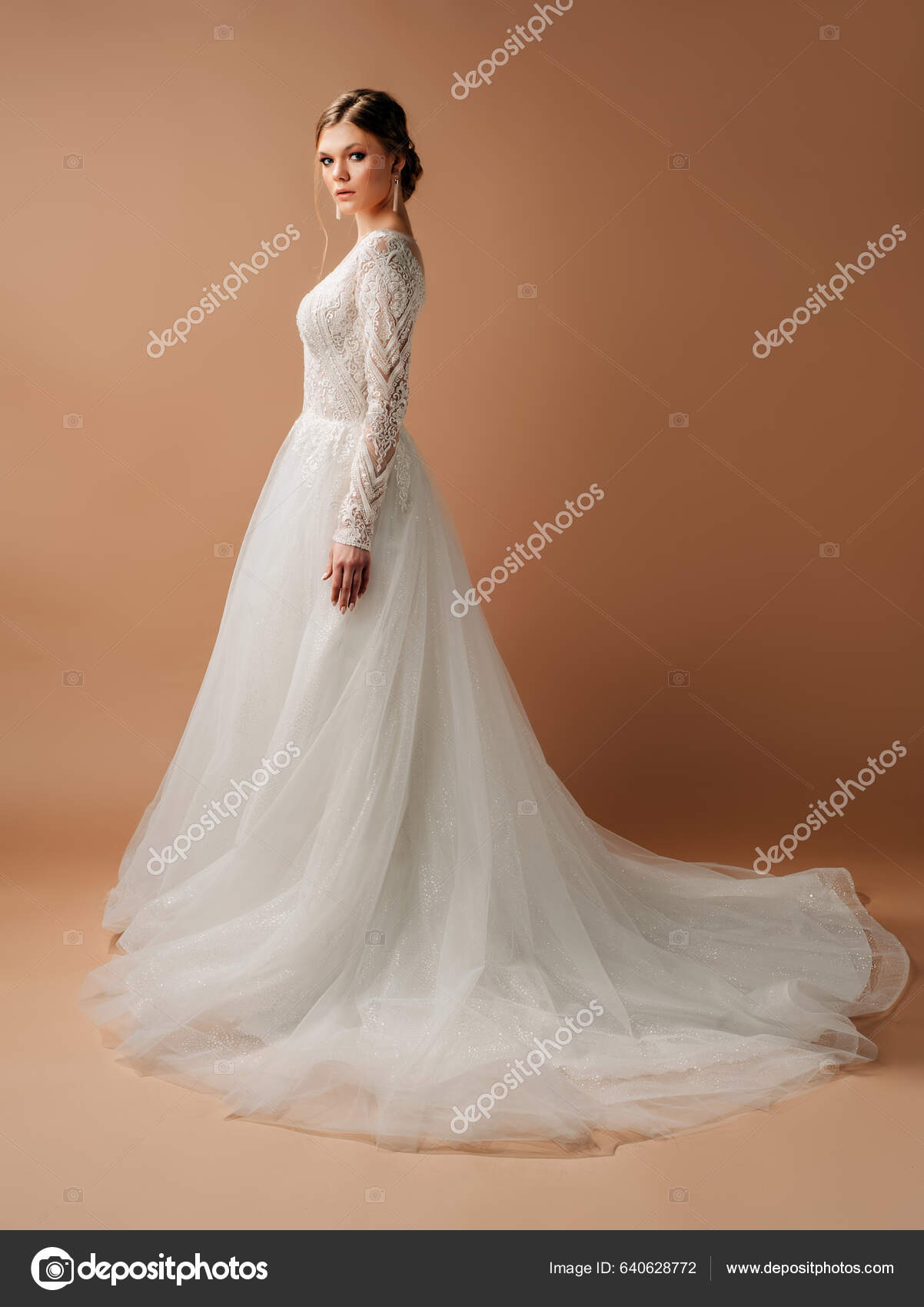 Luxus Esküvői Ruha Divatos Menyasszonyi Kinézet Labda Köpeny Gyengéd  Francia — Stock Fotó © Stylish_Pics #640628772