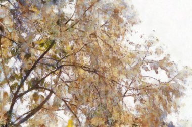 Çalı yapraklı ve dallı büyük bir ağaç Tebeşirle boyanmış renkli kalemler izlenimci tarzda resimler çiziyor..