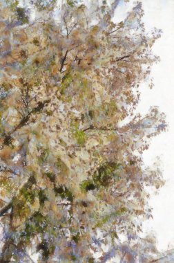 Çalı yapraklı ve dallı büyük bir ağaç Tebeşirle boyanmış renkli kalemler izlenimci tarzda resimler çiziyor..