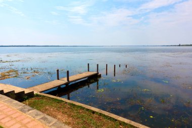 Büyük bir gölette ahşap bir iskele. Etrafında küçük kornişler var..