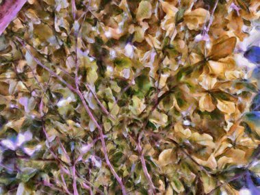 Çalı yapraklı ve dallı büyük bir ağaç Tebeşirle boyanmış renkli kalemler izlenimci tarzda resimler çiziyor..