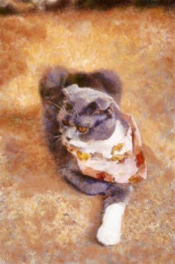 Kediler çeşitli pozlarda tebeşir boyası çizimleri resim sanatında izlenimcilik yaratır..