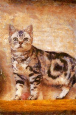 Kediler çeşitli pozlarda tebeşir boyası çizimleri resim sanatında izlenimcilik yaratır..