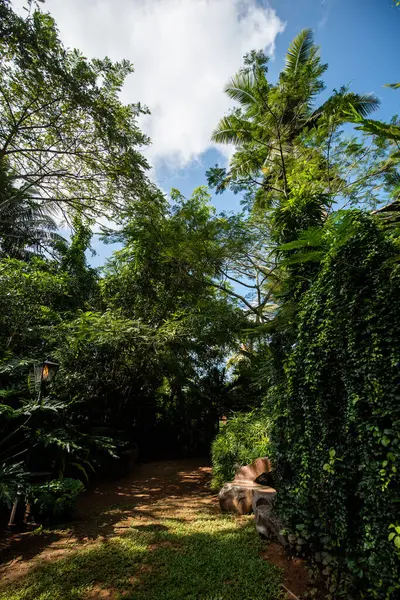 Ağaçlı geniş bir bahçe manzarası