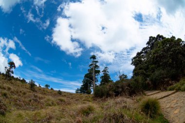 Arkaplanda dağların manzarası