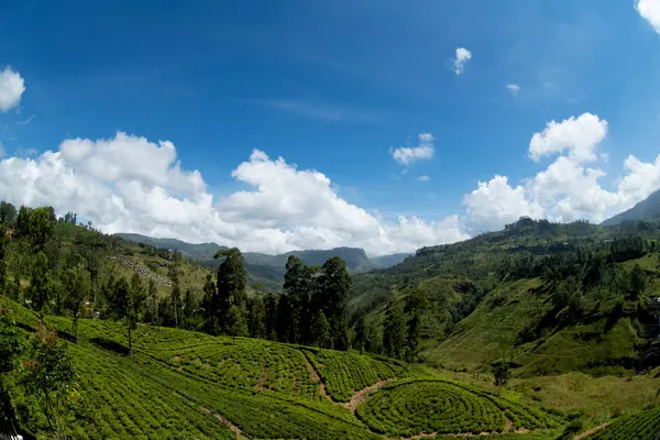 Vadinin güzel manzarası