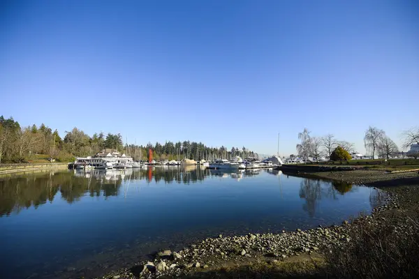 Stanley Park, British Columbia, Kanada 'da inanılmaz bir manzara.