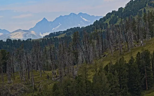 Vadideki dağların manzarası. Ridder, Oskemen, VKO, Kazakistan, Kazakistan, Kazakistan, KZ, seyahat fotoğrafları belyha, Katonkaragay, Doğu Kazakistan, vko, ustkamenogorsk, oskemen, Oskemen, VKO, Ust - Kamenogorsk, SHKO, Kazakistan, Kazakistan, Kazakistan, Kazakistan,,  