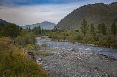 Dağlardaki güzel dağ nehri