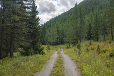 Yazın Ridder, Oskemen, VKO, Kazakistan, Kazakistan, Kazakistan, Kazakistan, Kazakistan, Kazakistan Belyha, Katonkaragay, Doğu Kazakistan, ustkamenogorsk, VKO, Ust - Kamenogorsk, SHKO  