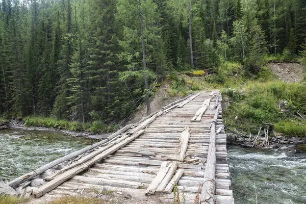 Orman Sırtı, Oskemen, VKO, Kazakistan, Kazakistan, Kazakistan, Kazakistan, Kazakistan, Kazakistan Belyha, Katonkaragay, Doğu Kazakistan, Üstkamenogorsk, VKO, Ust - Kamenogorsk,  