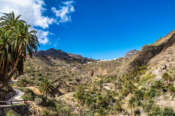 stock image Gran Canarian mountain range near Cruz Grande and San Bartolome de Tirajana Mountains in Gran Canaria in Spain. Hiking from San Bartolome to Santa Lucia.