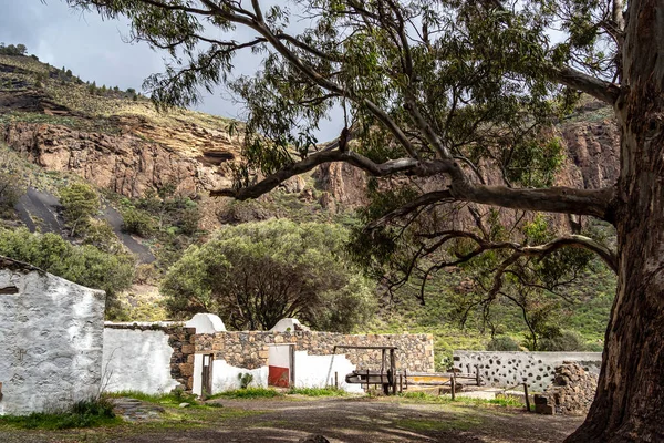 Caldera de Bandama kraterinin volkanik manzarası ve dairesel yürüyüş yolu. Gran Canaria, İspanya Avrupa 'da