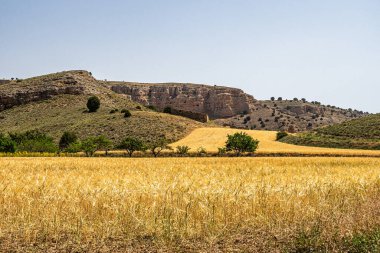 Hiking at Hoces gorges del Rio Riaza Natural Reserve near Segovia in Spain, Europe