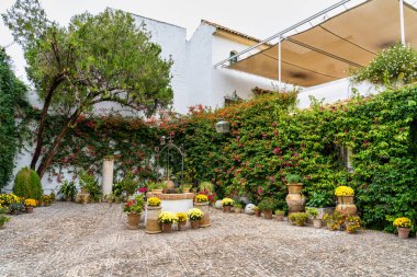 Cordoba, İspanya - 3 Kasım 2022: Cordoba, Endülüs 'teki Viana Sarayı' nın avlusu. XV yüzyılda yapılmış. Viana Sarayı 12 muhteşem avlusu ve bahçesiyle bilinen bir turistik merkezdir..