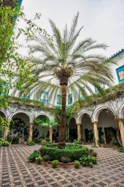 Cordoba, İspanya - 3 Kasım 2022: Cordoba, Endülüs 'teki Viana Sarayı' nın avlusu. XV yüzyılda yapılmış. Viana Sarayı 12 muhteşem avlusu ve bahçesiyle bilinen bir turistik merkezdir..