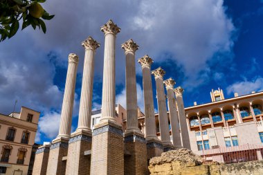 Cordoba, İspanya - 03 Kasım 2022: Roma tapınağının kalan sütunları, Cordoba, Endülüs 'ün tempo romanosu, İspanya