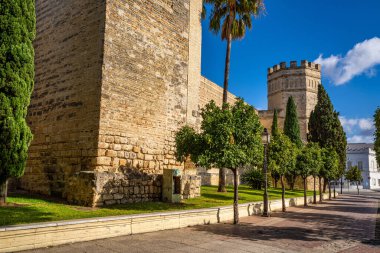 Jerez de la Frontera, İspanya - 15 Kasım 2022: Jerez de la Frontera 'daki Fas Alcazar Kalesi, Antik Alcazar Kalesi, İspanya