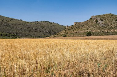 Hiking at Hoces gorges del Rio Riaza Natural Reserve near Segovia in Spain, Europe