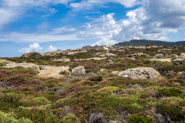 Praia do Trece Sahili ve Deniz feneri patikasının bir bölümü, Camino dos Faros, Camarinas, Galiçya, İspanya