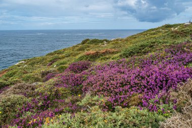 Muxia 'daki Tourinan Burnu, Costa da Morte, Ölüm Kıyısı, Galiçya, İspanya. Bu kayalıklar İspanyol yarımadasının en batı kıyısıdır..