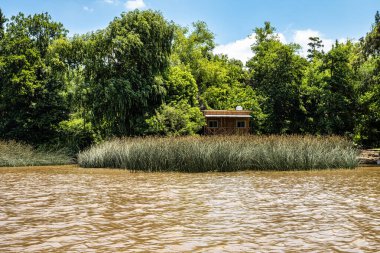 Boat tour on the Parana Delta, Tigre, Buenos Aires, Argentina. Lush vegetation, palm trees, construction site of modern brick house. Lujan River delta system bringing water to Rio de la Plata.