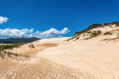 Joaquina beach with stone and dunes in Florianopolis, Santa Catarina, Brasil. Praia da Joaquina is a beach in Florianopolis.