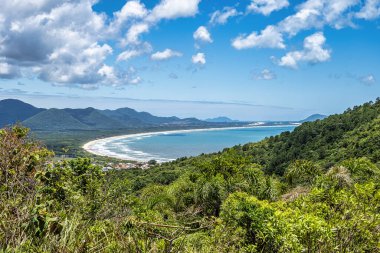 Vegetation , rocks and beach at Galheta beach, Morro da Galheta, Florianopolis, Santa Catarina, Brazil