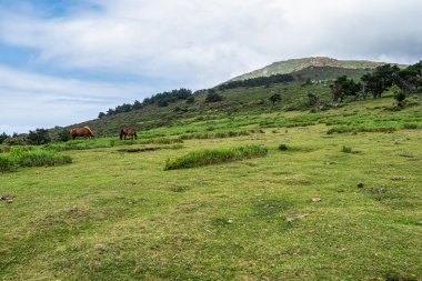 Galiçya 'nın San Andres de Teixido yolu boyunca uzanan manzarası, A Coruna Eyaleti, Galiçya. Ruta de la Miradores Sierra de la Capelada, İspanya