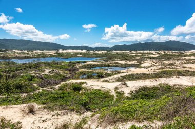 Joaquina beach with stone and dunes in Florianopolis, Santa Catarina, Brasil. Praia da Joaquina is a beach in Florianopolis.