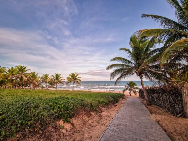 View of Imbassai beach, Bahia, Brazil. Beautiful beach in the northeast with a river and palm trees.