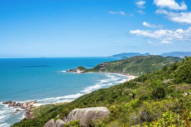 Galheta sahilindeki bitki örtüsü, kayalar ve plaj, Morro da Galheta, Florianopolis, Santa Catarina, Brezilya