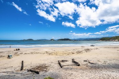 Florianopolis, Santa Catarina, Brezilya 'daki Naufragados sahilinde şeffaf yeşil turkuaz su. Deniz, orman ve taşlarla dolu bir tatil beldesi.