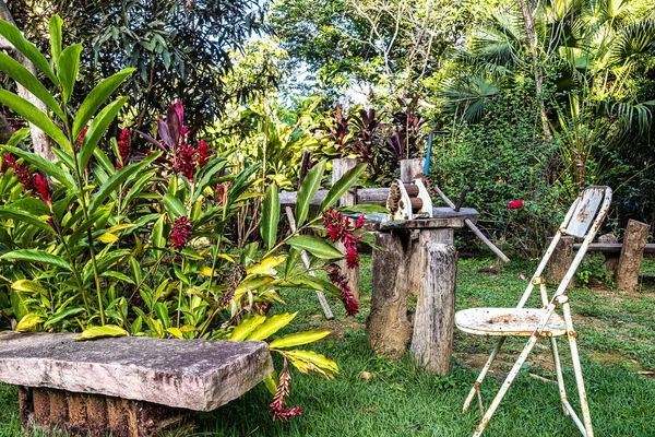Restaurace Pantanal Marimbus Vody Mnoha Řek Hojné Vegetace Andarai Bahia — Stock fotografie