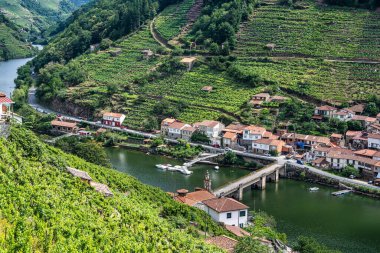 Galiçya, İspanya ve Avrupa 'da Belesar' dan Parada de Sil Kanyonu 'nun güzel manzarası