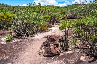 Canyons on the way to the Buracao waterfall, Ibicoara, Chapada Diamantina in Bahia, Brazil in Latin America