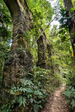 Ilha Grande 'deki eski Lazaretto su kemerinin kalıntıları, Angra dos Reis, Rio de Janeiro' nun güneyindeki Green Coast, Brezilya