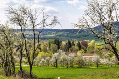 Franconian İsviçre 'de Pretzfeld, Almanya' da tepelerde kiraz çiçeği. Meyve konyağı ve meyve suyu için ünlü bir bölge. Batı Avrupa 'nın kiraz ağaçları için en büyük tarım alanlarından biri..