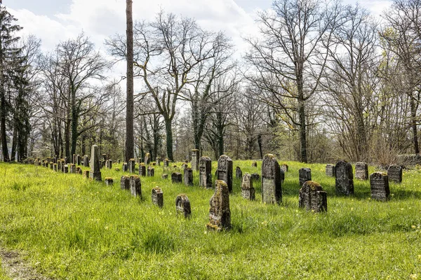 フランス スイス バイエルン ドイツのプレッツフェルトにある古いユダヤ人墓地 放棄された田舎のユダヤ人墓地に風化した砂岩の墓の行 — ストック写真