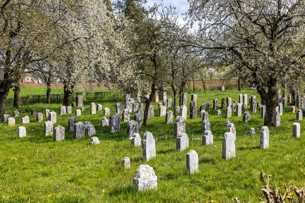 旧ユダヤ人墓地 ドイツ バイエルン州 スイス フランケン地方のプレッツフェルト 放棄された田舎のユダヤ人墓地に風化した砂岩の墓の行 — ストック写真