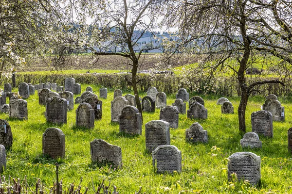 旧ユダヤ人墓地 ドイツ バイエルン州 スイス フランケン地方のプレッツフェルト 放棄された田舎のユダヤ人墓地に風化した砂岩の墓の行 — ストック写真