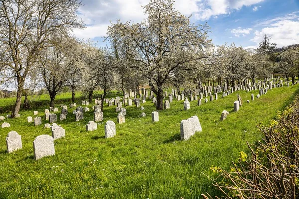 Ein Alter Jüdischer Friedhof Hagenbach Pretzfeld Der Fränkischen Schweiz Bayern — Stockfoto