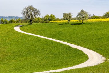 Franconian İsviçre 'de Kalchreuth, Almanya' da tepelerde kiraz çiçeği. Meyve konyağı ve meyve suyu için ünlü bir bölge. Batı Avrupa 'nın kiraz ağaçları için en büyük tarım alanlarından biri.