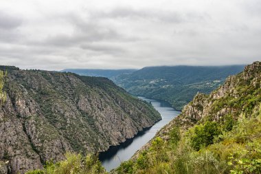 Galiçya, İspanya ve Avrupa 'daki Parada de Sil' deki Madrid Balkonundan güzel Canyon del Sil manzarası