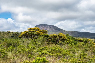 Beautiful hiking trail to Aguas Claras waterfall in Vale do Capao, Chapada Diamantina, Palmeiras, Bahia, Brazil